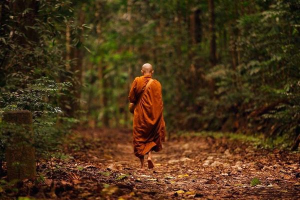 LEST WE SHOULD FORGET