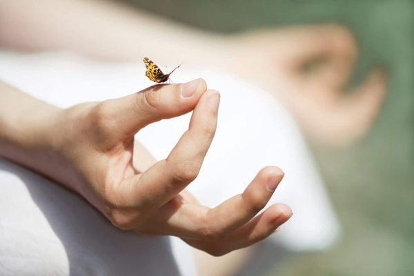 The Evening Contemplation