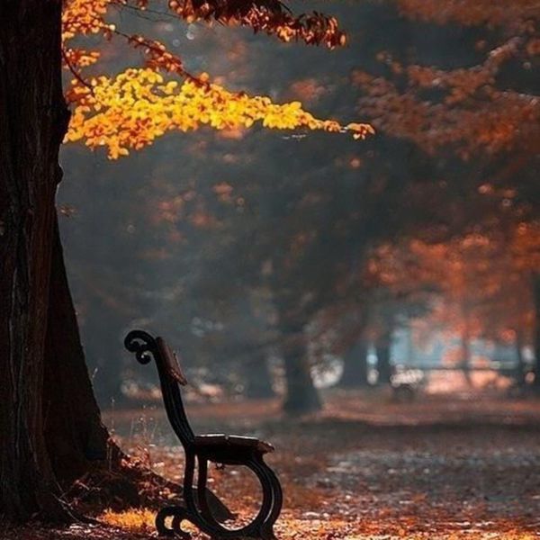 LET GO - LET GOD - LET LOVE