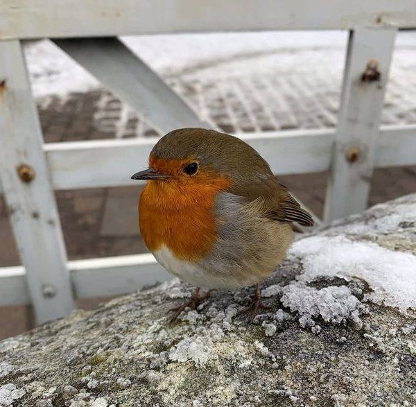 INSIGHTS AND PARABLES