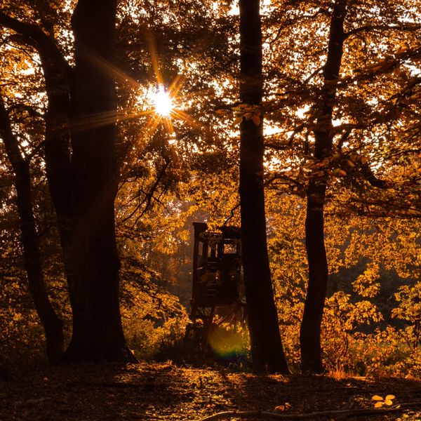 LOOKING FOR YOUR FACE.