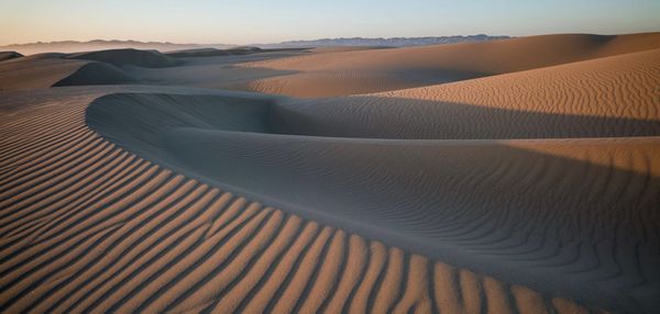 A SURRENDERING MOMENT