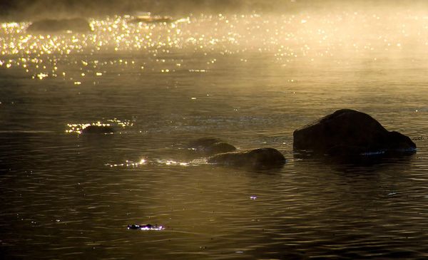 GUIDED MEDITATION FOR WORLD PEACE