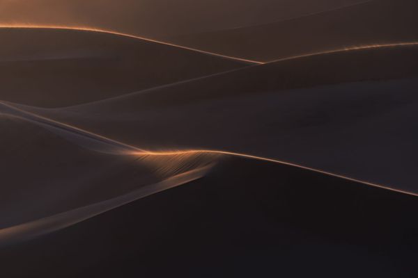 CONTEMPLATION ON LONELINESS