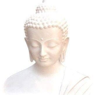 Embracing the Path to Love and Peace