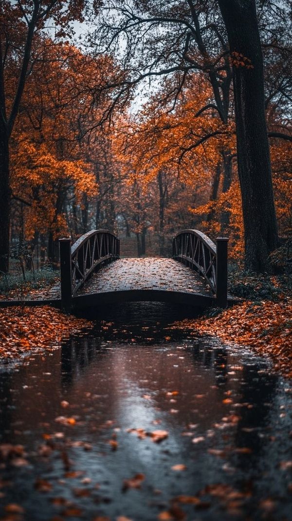 Guided Meditation on The Geometry of Resistance and Surrender