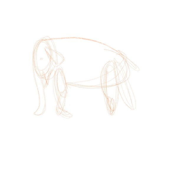 Practicing drawing