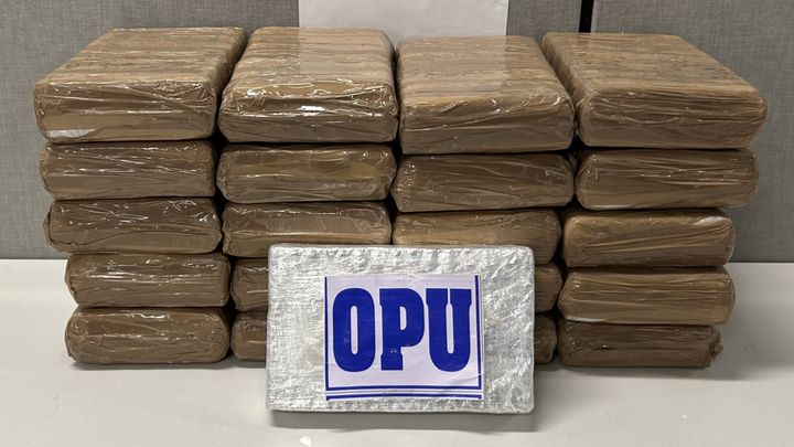 Three Charged After 66 Pounds Of Cocaine Seized From UPS Packages In New York