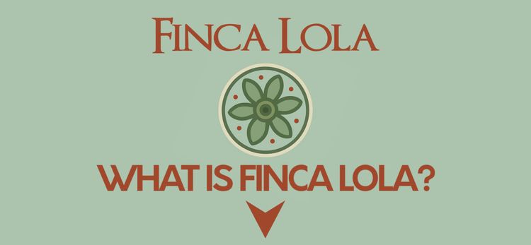 Who We Are & Where We Are Going…