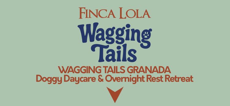 Wagging Tails Doggy Daycare