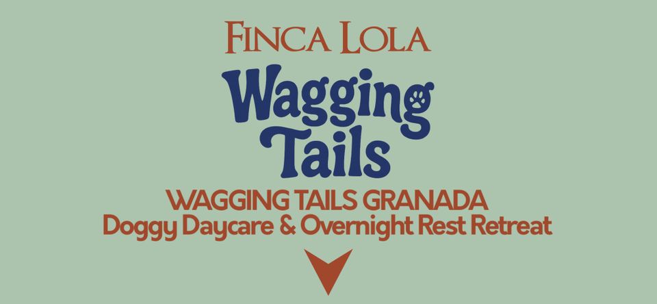 Wagging Tails Doggy Daycare