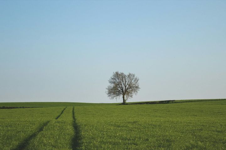 the most valuable thing for happiness