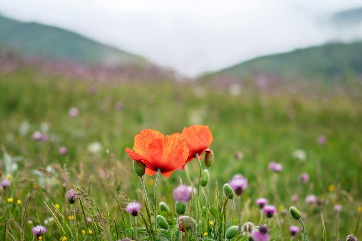 the wonderous waiting room