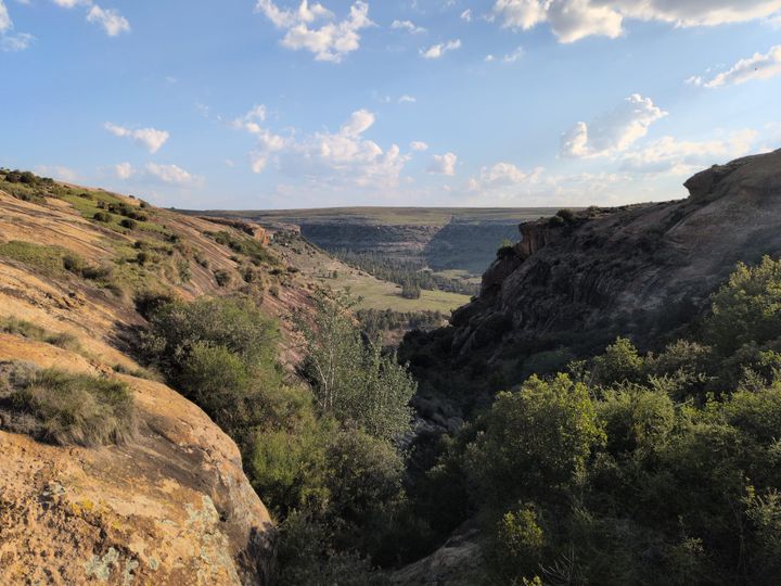 Peace Corps: Week 3 + Q&A #1