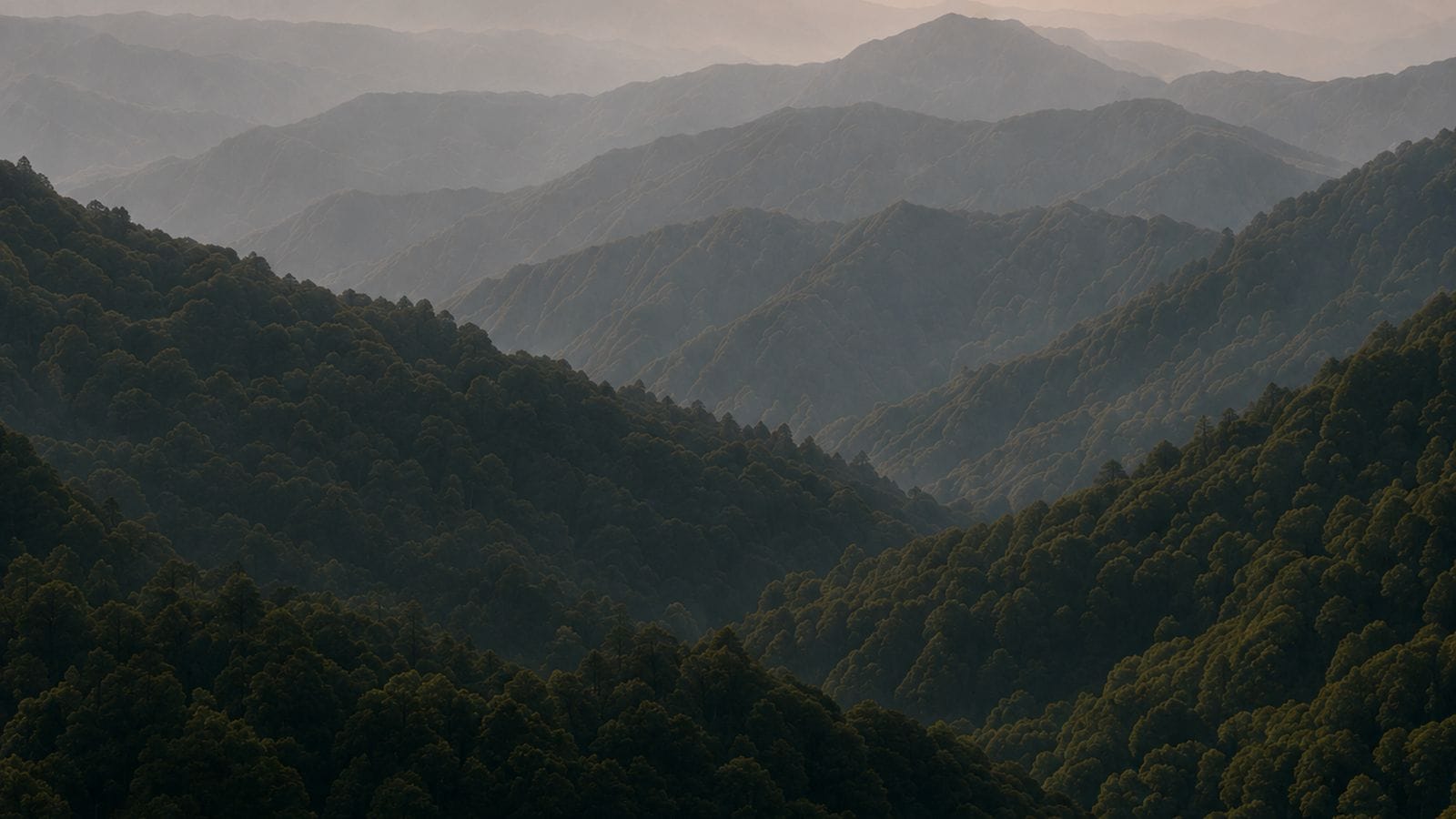 Forested mountain ranges fading into haze