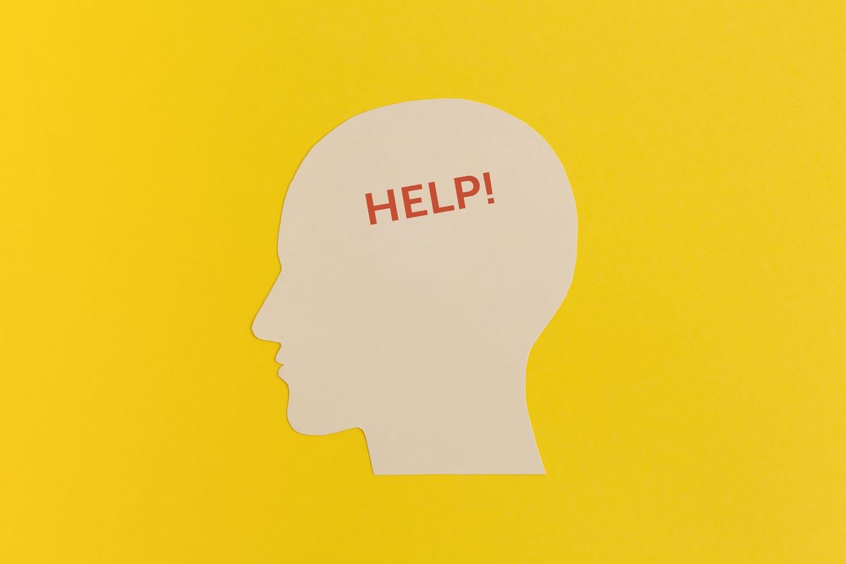 The Google Effect — Re-Wilding Your Brain in the Age of Digital Amnesia