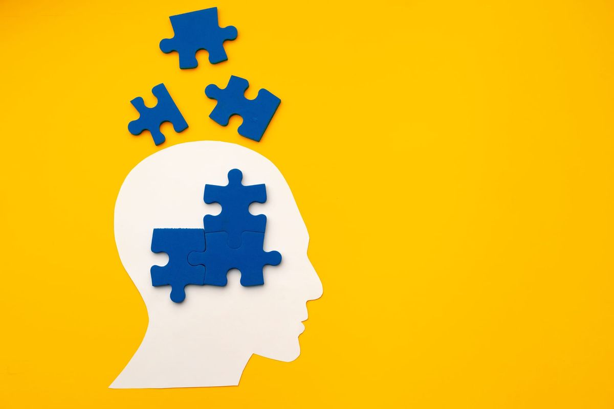 The Nootropic Landscape: A Cautious Guide to the Caffeine/L-Theanine Stack