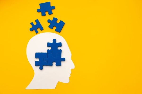 The Nootropic Landscape: A Cautious Guide to the Caffeine/L-Theanine Stack