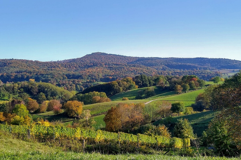 Small-Image-Article-Blog--16-