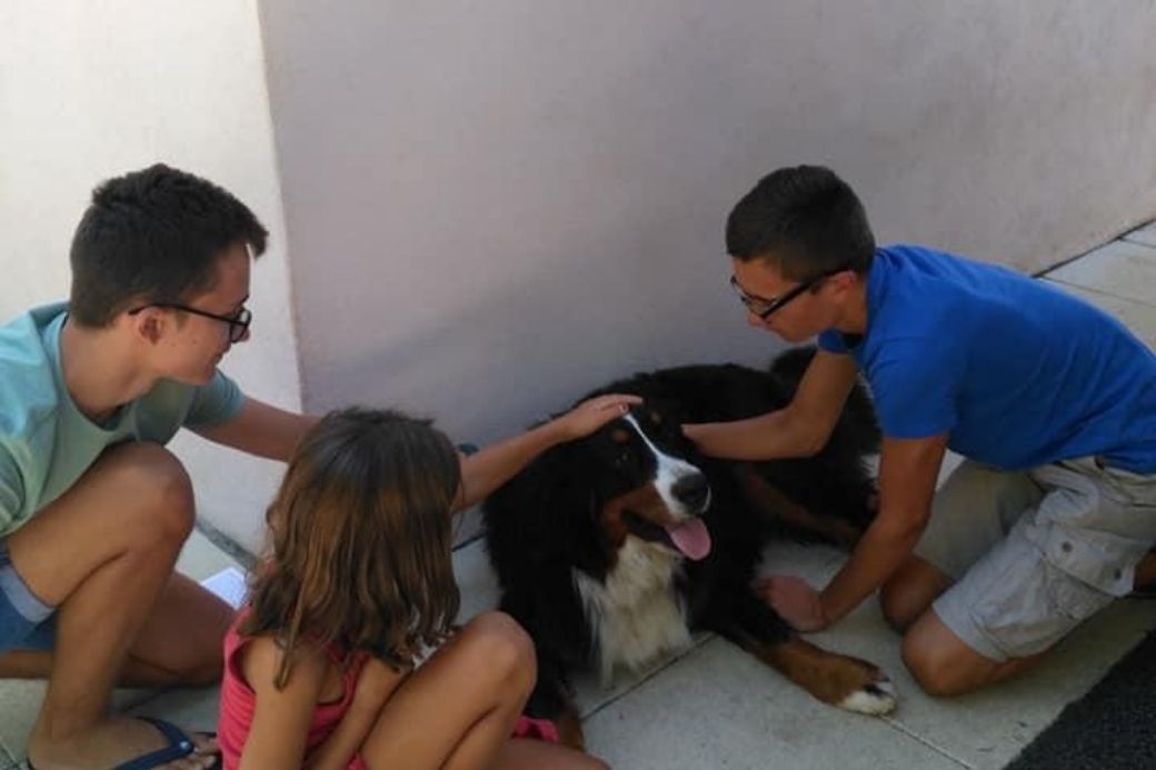 alt HomeExchange_familie_hund, title HomeExchange_familie_hund