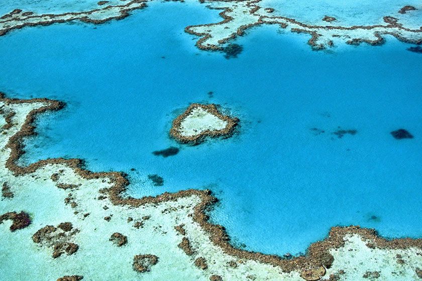 Urlaub im Winter: Great Barrier Reef 