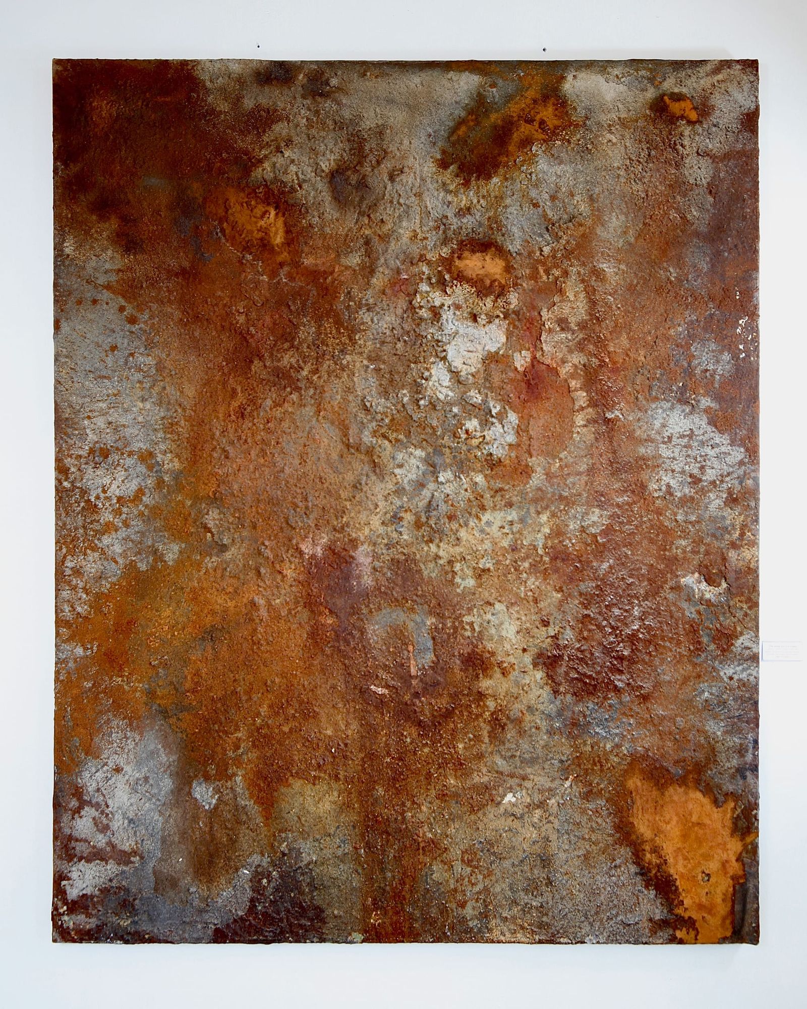 Skoven for bare træer indlægsbillede