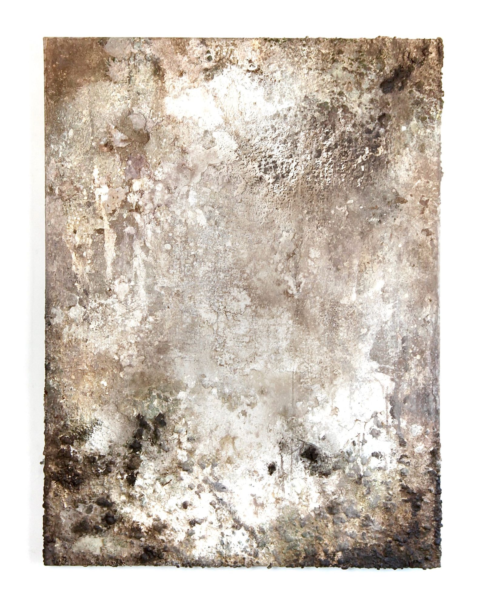 Memento mori (mocca) indlægsbillede