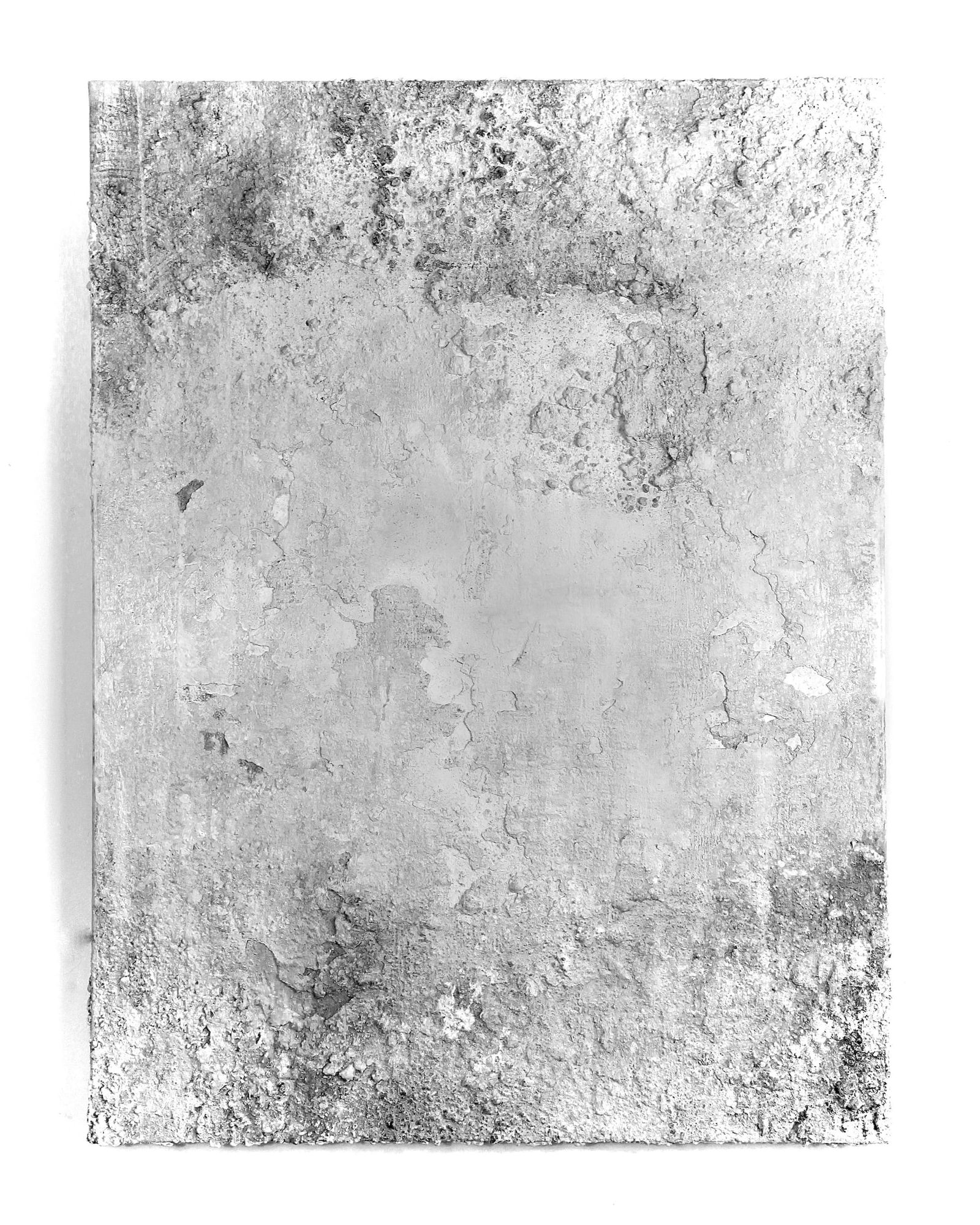 Memento mori (kalkhvid) indlægsbillede