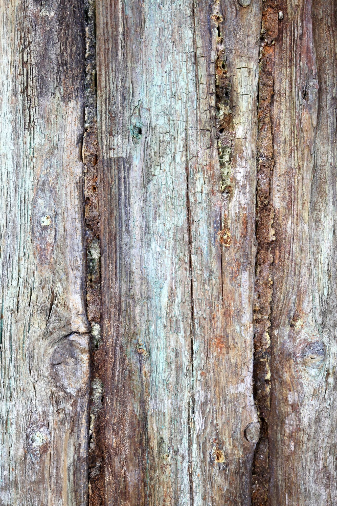 Maleri på genanvendt træ page feature image