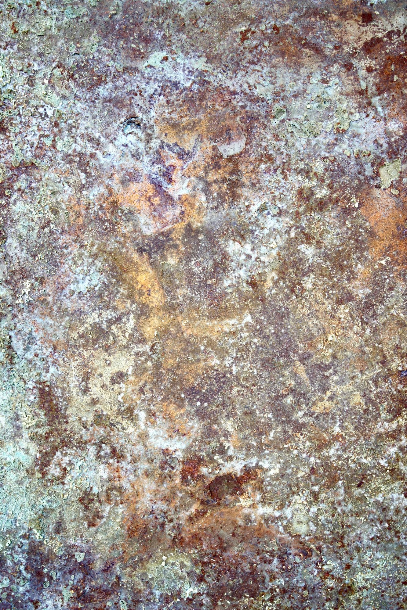 Maleri page feature image