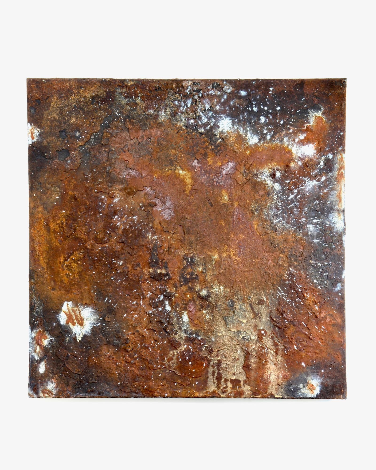 7. november indlægsbillede