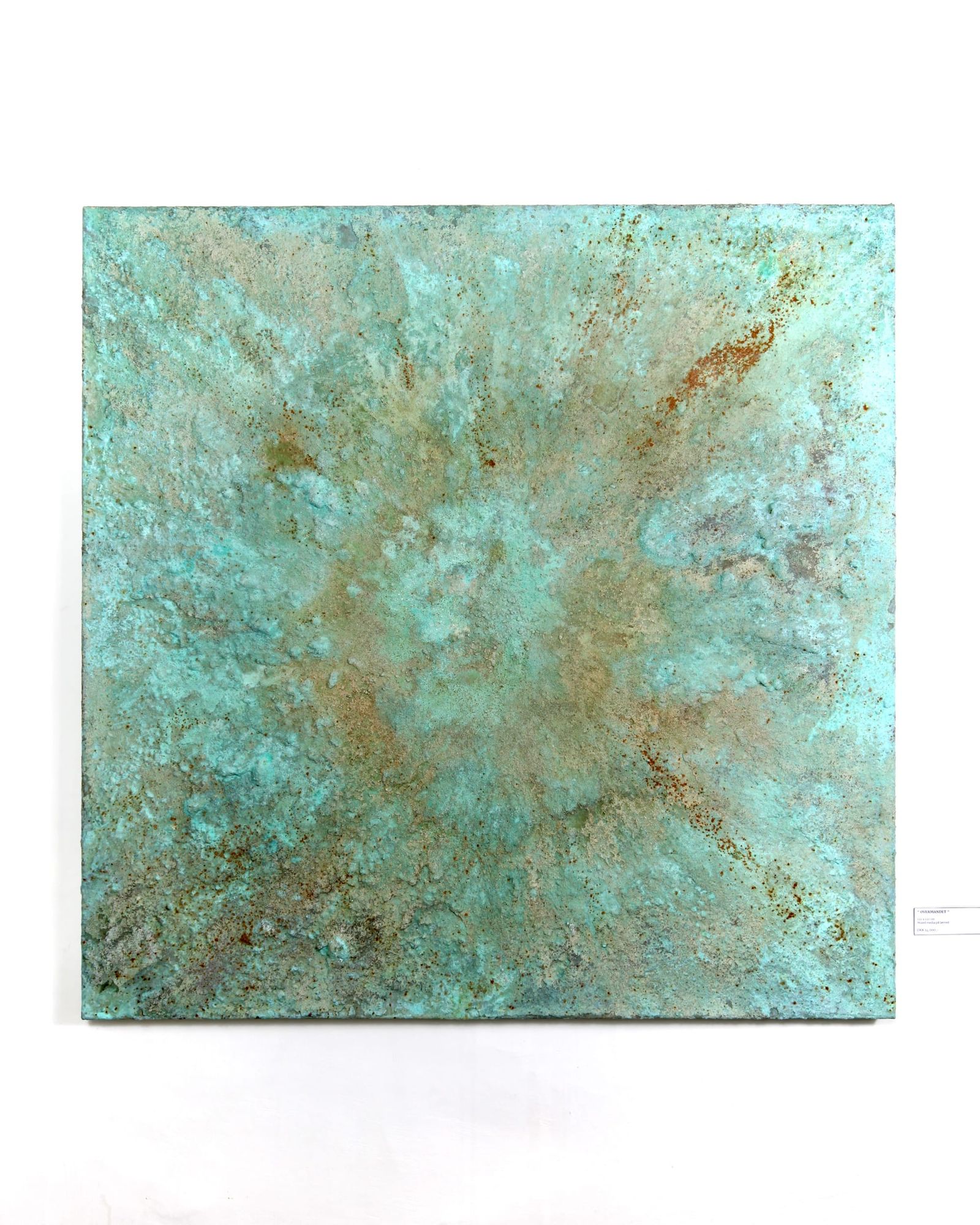 Overmandet indlægsbillede