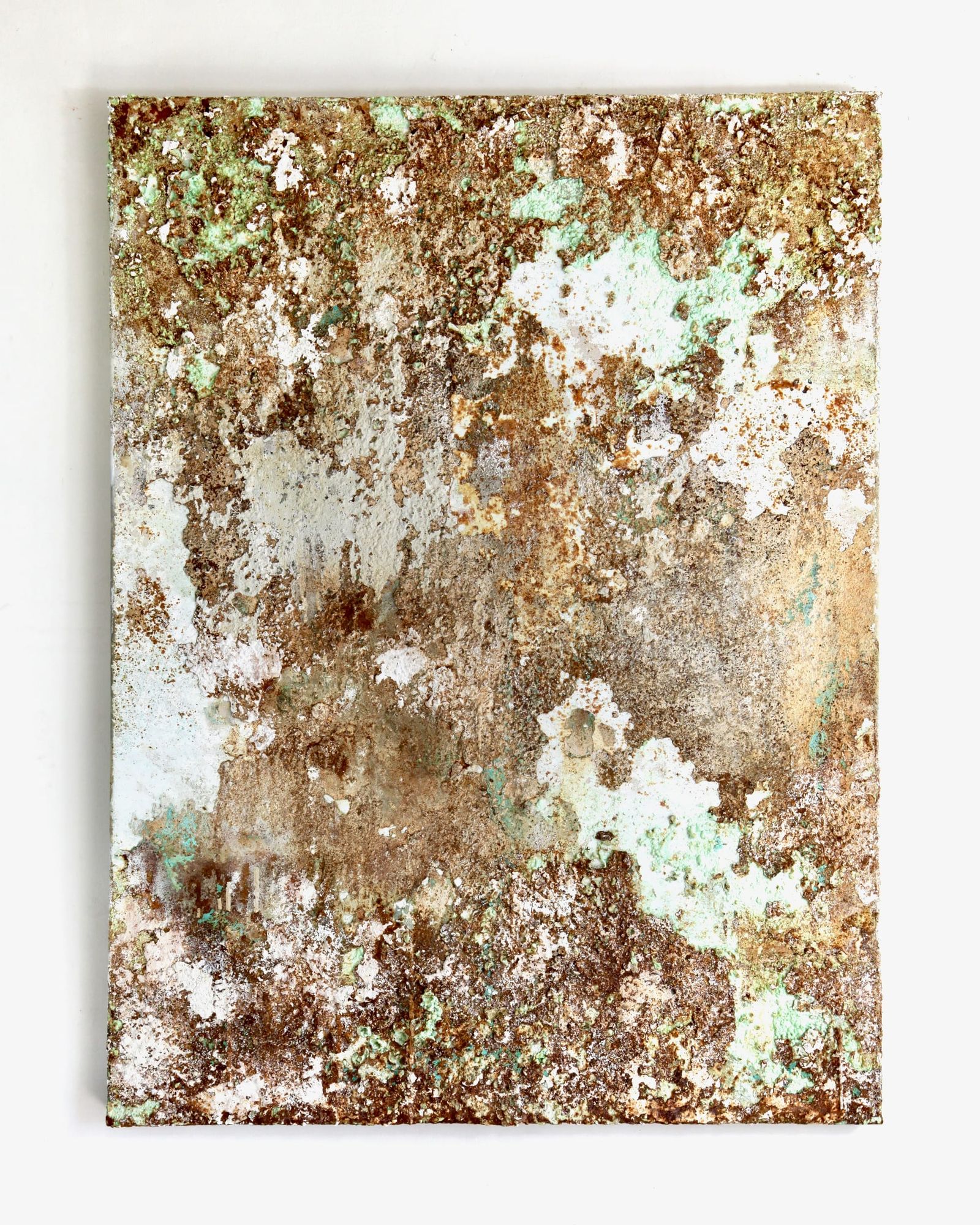 Memento mori (café au lait) indlægsbillede