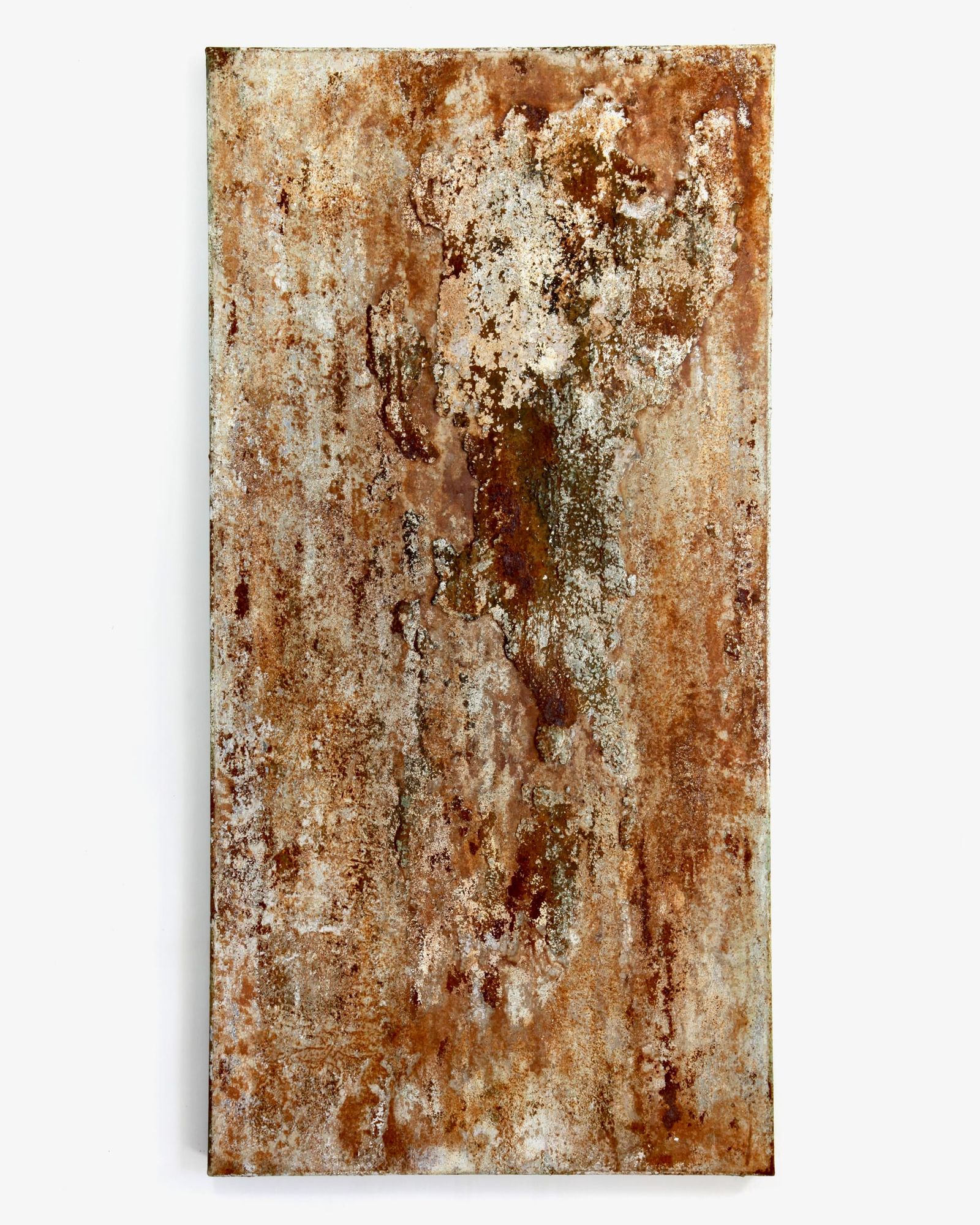 Europa (hinsides) indlægsbillede