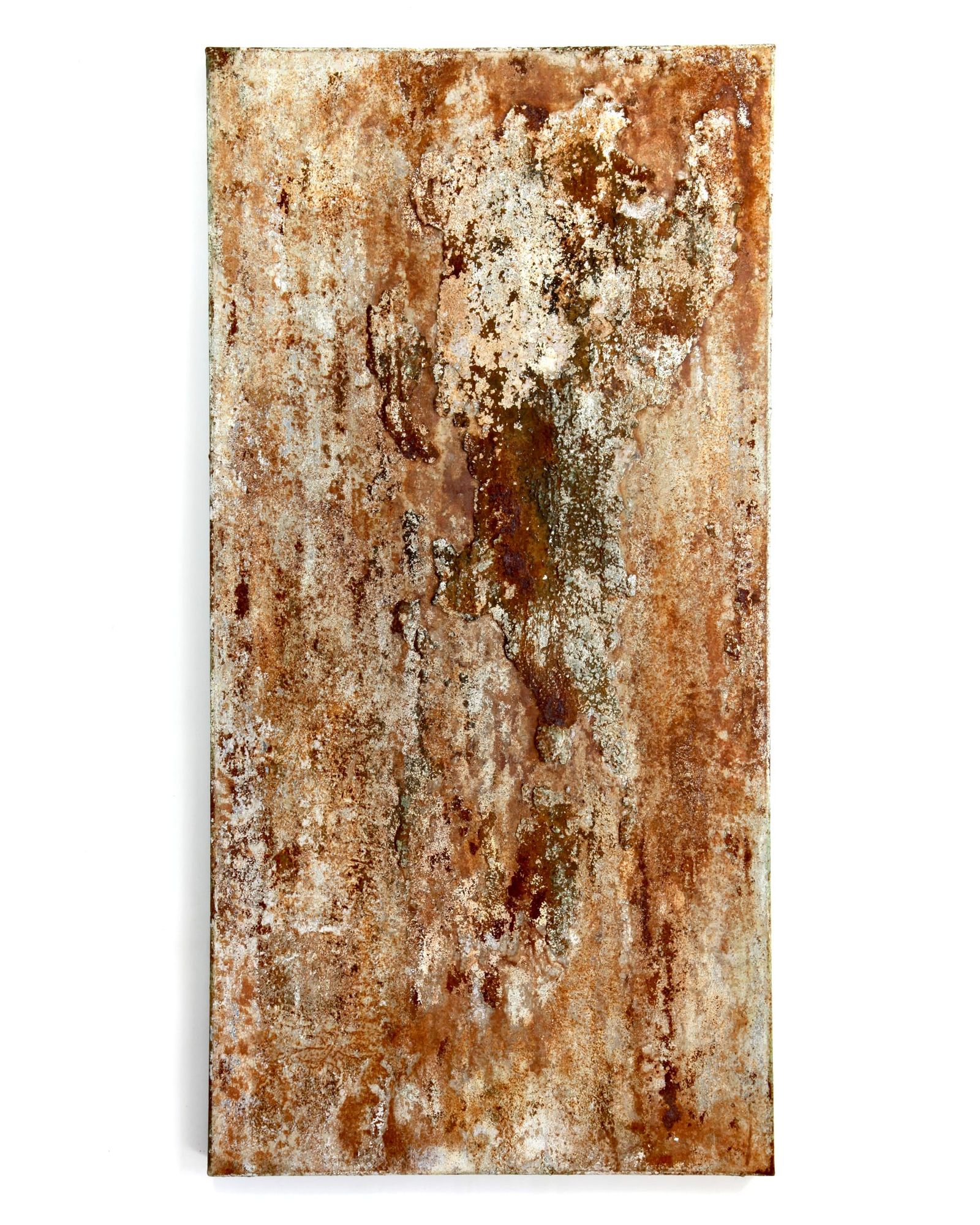 Europa (hinsides) indlægsbillede