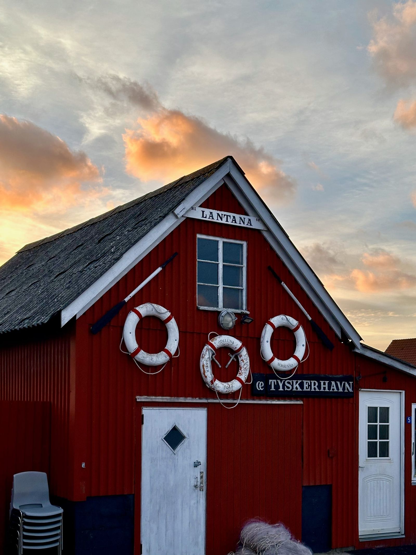Tilbage hjem, i havn indlægsbillede