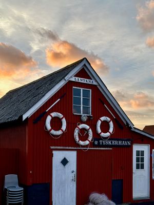 Tilbage hjem, i havn featurebillede