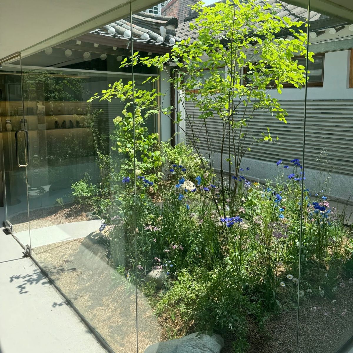 Garden and traditional tiled roof of PROUST's hanok atelier in Seoul