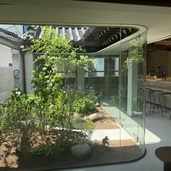 Garden courtyard and perfume atelier at PROUST in Hyehwa, Seoul