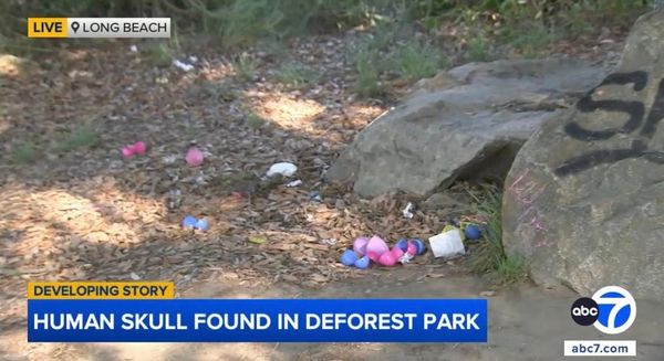 SMALL HUMAN SKULL FOUND DURING EASTER EGG HUNT, ABOUT 80 MILES FROM WHERE EMMANUEL HARO WAS LAST SEEN