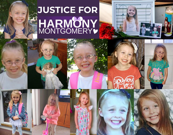 THE SUPREME COURT OF NEW HAMPSHIRE PDF OF OVERTURNED MURDER CHARGES FOR HARMONY MONTGOMERY
