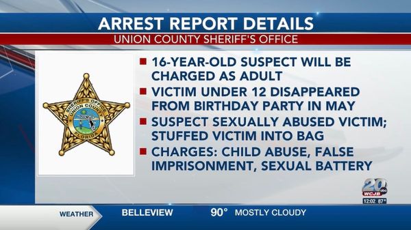 16-year-old accused of taking child from birthday party, sexually abusing him and stuffing him in wedding dress bag