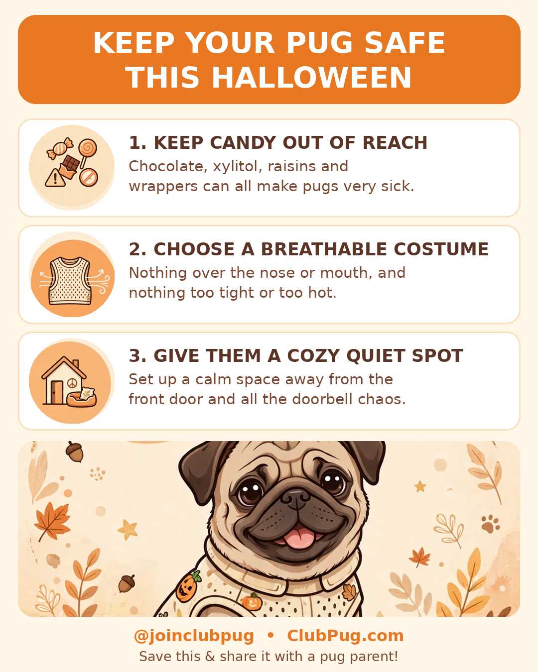 Infographic titled "Keep Your Pug Safe This Halloween" showing a pug in a breathable Halloween costume, with tips to keep candy out of reach, choose a breathable costume, and give your pug a cozy quiet spot.