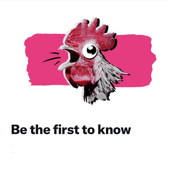 A little of this, a little of that, and a book title