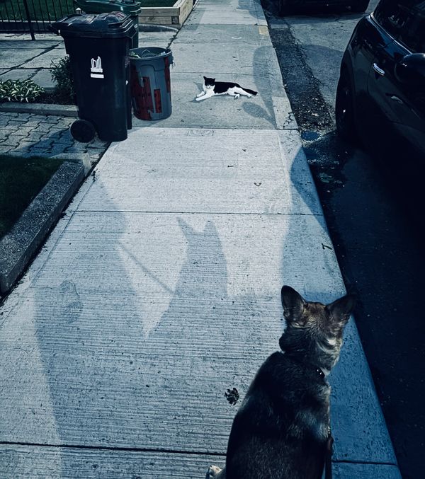 Catching up to feeling alive