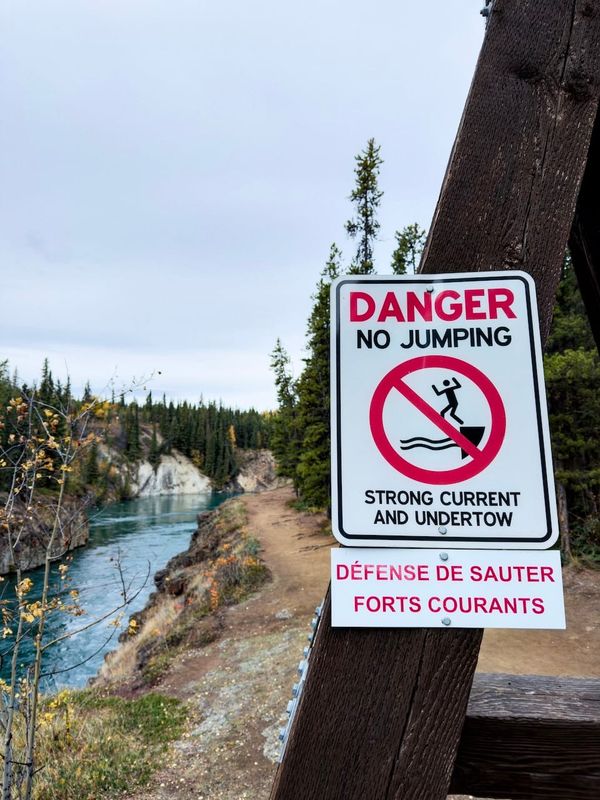 The sidewalks are watching me think about you