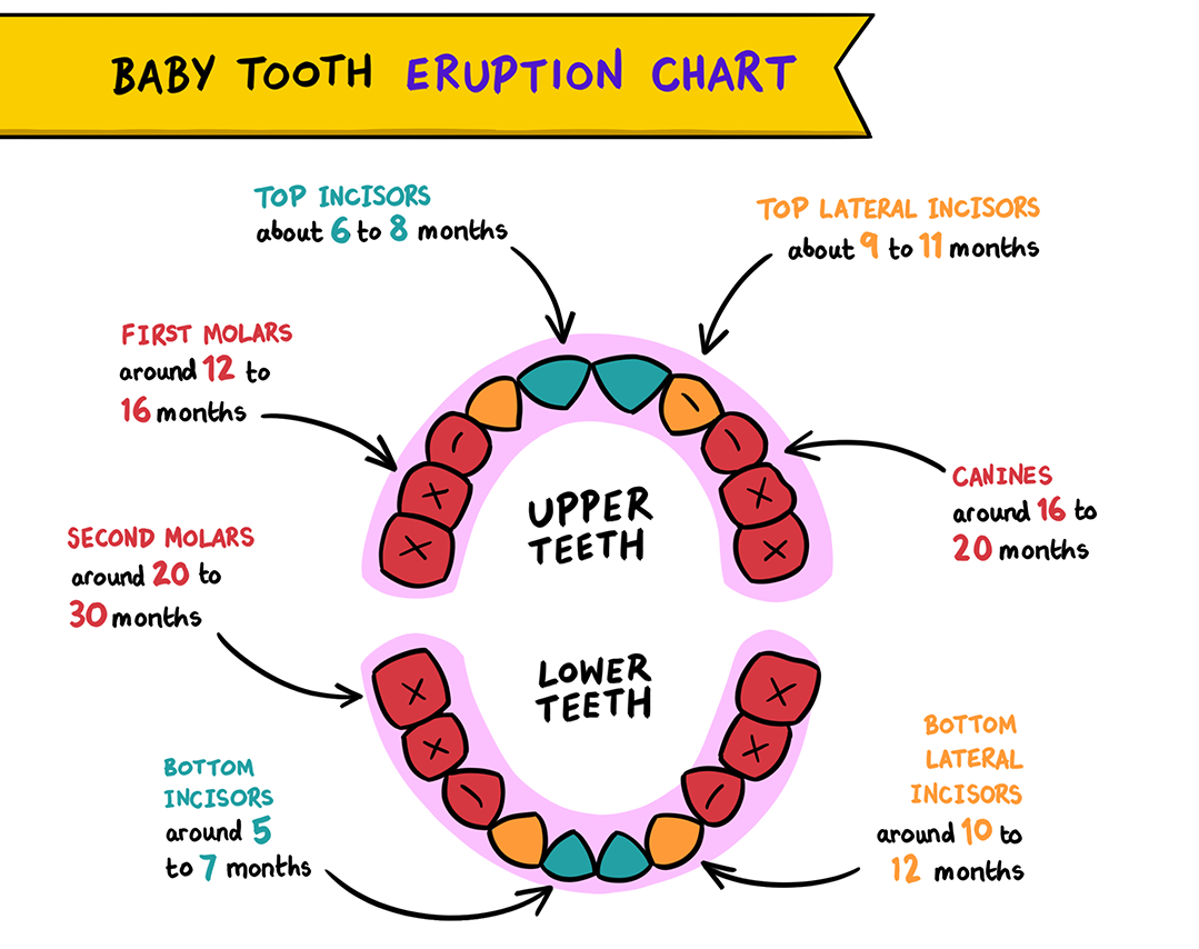 Teething pains