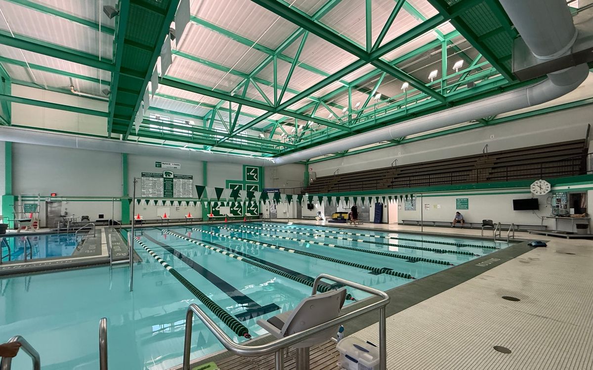 Camaraderie is the secret to success: a swimming lesson for life
