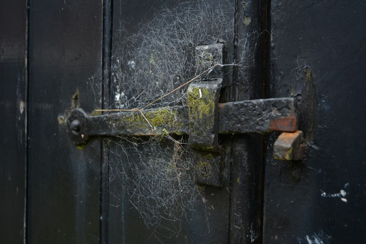 Flash!Mob April: TANGLED WEB