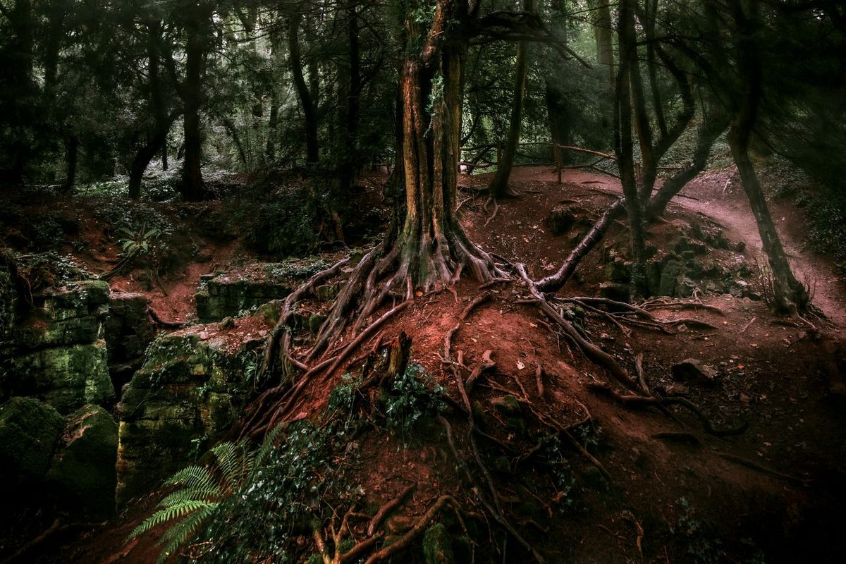 Flash!Mob May: DEEP ROOTS